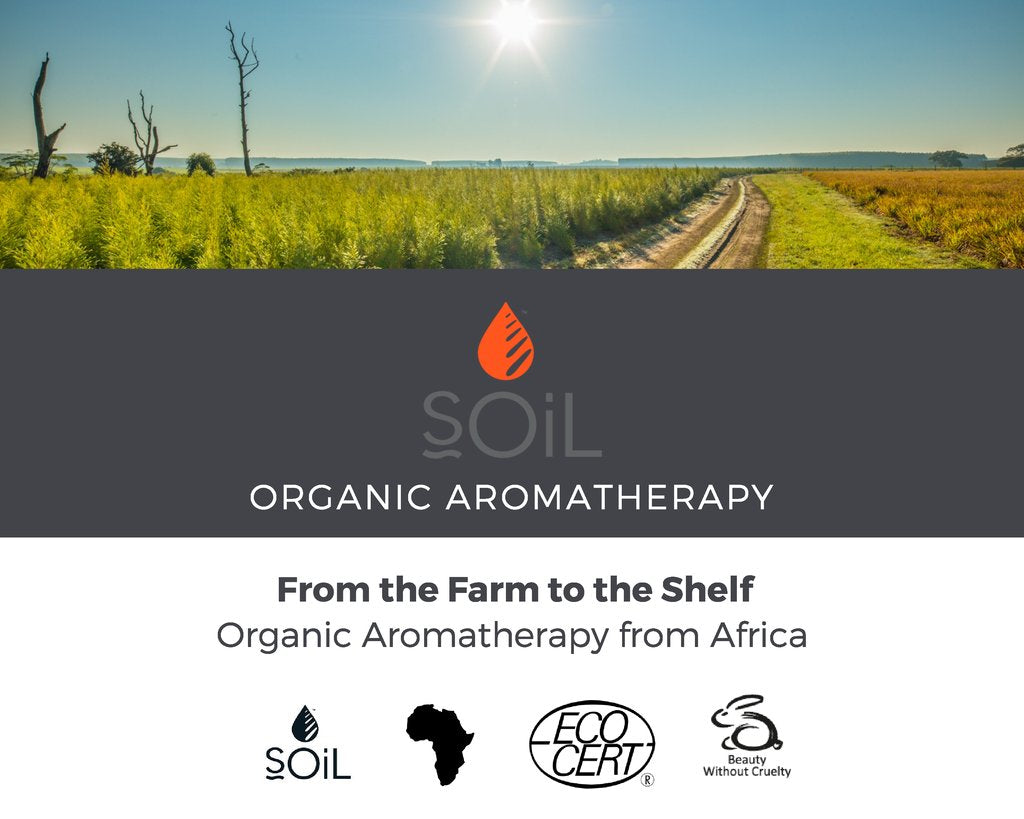 Fennel Essential Oil, 10 ml