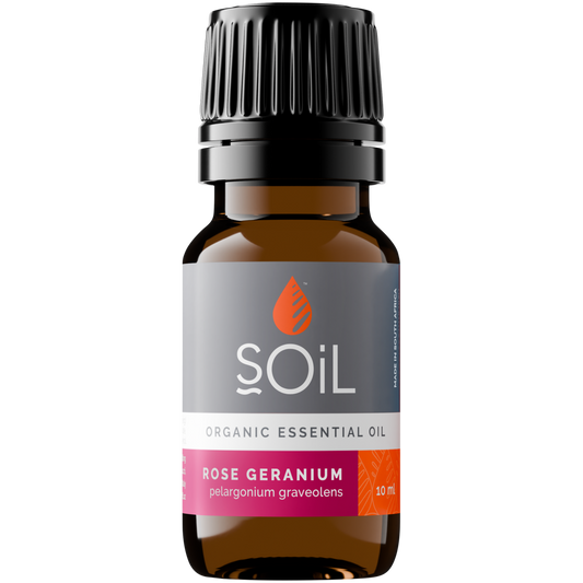 SOiL organic Rose Geranium essential oil 10ml