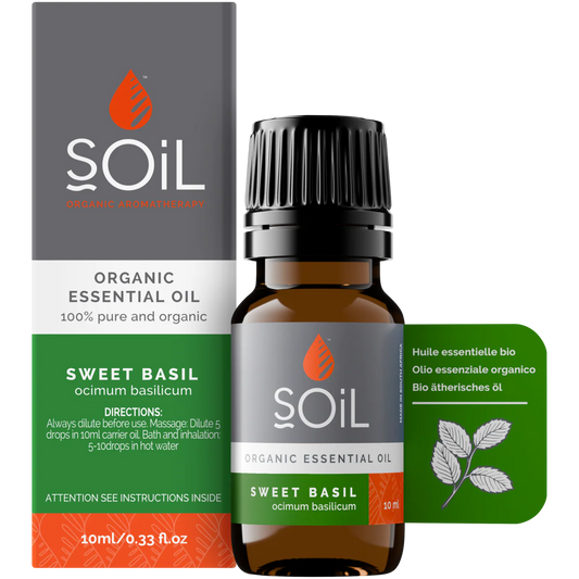 Organic basil essential oil 10ml – Smll Me