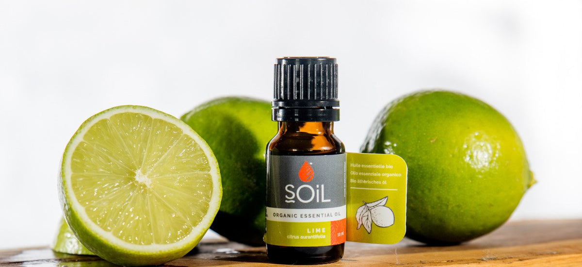 Organic lime essential oil 10ml – view 2