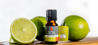 Organic lime essential oil 10ml – view 2